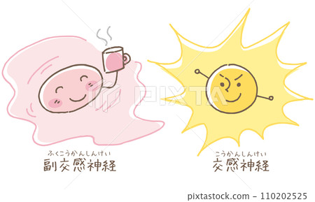 Image of parasympathetic and sympathetic nerves 110202525