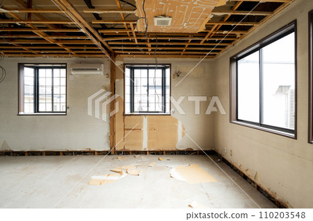 Demolition skeleton 110203548