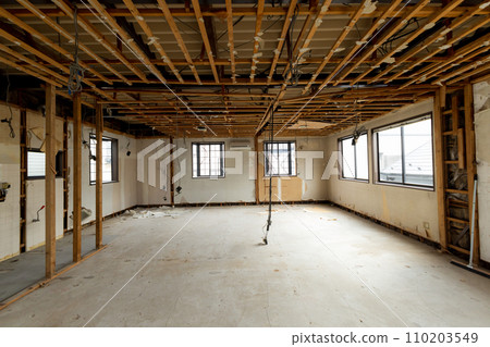 Demolition skeleton 110203549