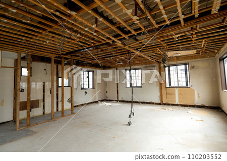 Demolition skeleton Demolition skeleton 110203552
