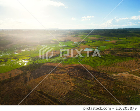 Terraced rice field and farmland In countryside, drone view. Terraced rice field and farmland In countryside, drone view. 110203879