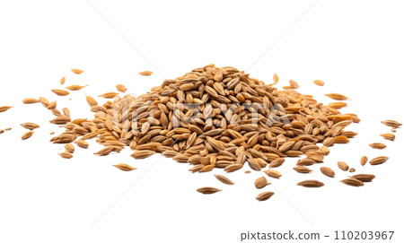 Malt on the transparent background 110203967