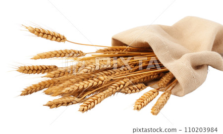 Wheat on the transparent background Wheat on the transparent background 110203984