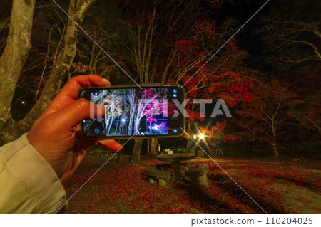 A person takes a photo of the illuminated autumn leaves with a smartphone at Kasagiyama Momiji Park in Kyoto A person takes a photo of the illuminated autumn leaves with a smartphone at Kasagiyama Momiji Park in Kyoto 110204025