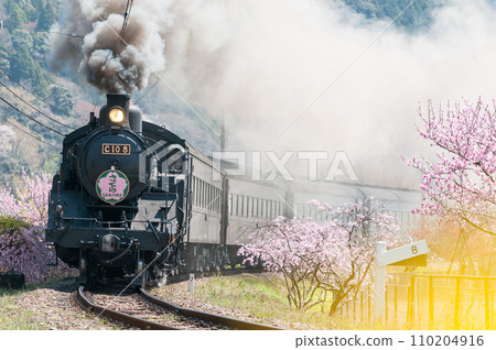 大井川鐵道 SL 蒸氣機車 大井川鐵道 SL 特急列車 110204916
