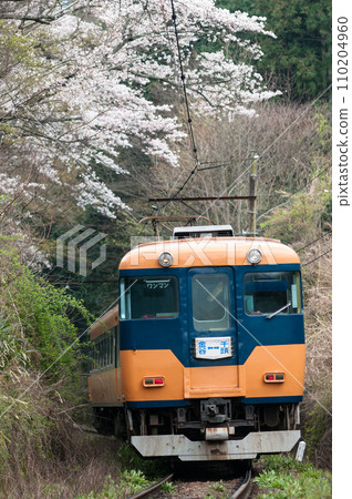 大井川鐵道的普通列車 大井川鐵道 大井川鐵道的普通列車 大井川鐵道 110204960