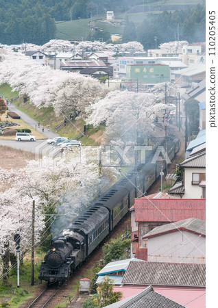 大井川鐵道 SL 蒸氣機車 櫻花盛開的春天大井川鐵道 SL 特快列車 110205405