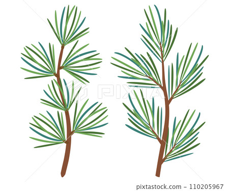Christmas Larch, Pine, spruce branch. Christmas Larch, Pine, spruce branch. 110205967