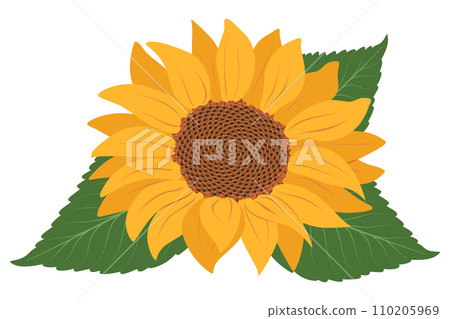 Sunflower icon isolated on Transparent background Sunflower icon isolated on Transparent background 110205969