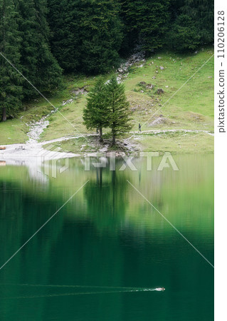 Couple tree, duck floating, people travelling in summer at Seealpsee lake at Switzerland Couple tree, duck floating, people travelling in summer at Seealpsee lake at Switzerland 110206128