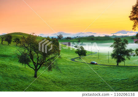 Rural scene with car driving on country road and foggy on grassland in the morning 110206138