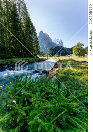 Rusenlaui with wellhorn swiss alps and Reichenbach river flowing in summer on sunny day at Switzerland Rusenlaui with wellhorn swiss alps and Reichenbach river flowing in summer on sunny day at Switzerland 110206139
