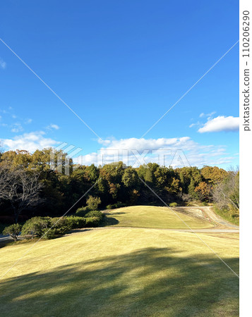 Park on a sunny day Park on a sunny day 110206290