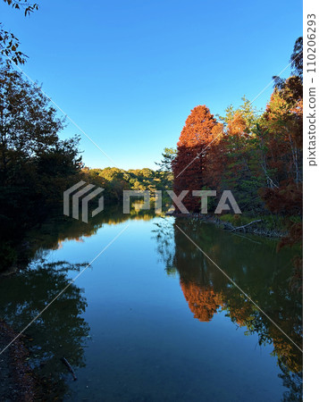 Autumn leaves reflected on the water Autumn leaves reflected on the water 110206293