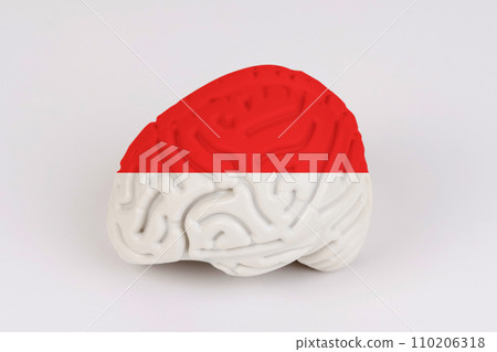 On a white background, a model of the brain with a picture of a flag - Indonesia On a white background, a model of the brain with a picture of a flag - Indonesia 110206318