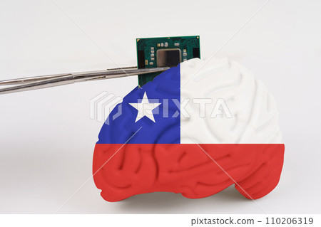 On a white background, a model of the brain with a picture of a flag - Chile, a microcircuit, a processor, is implanted into it. 110206319