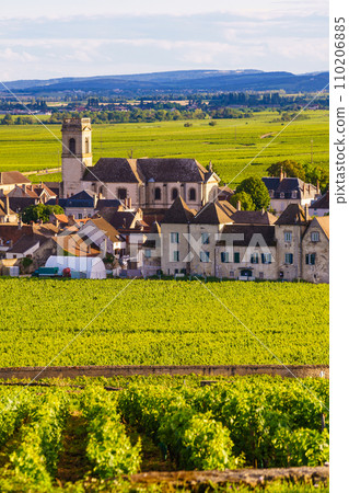 Vineyards and Pommard village, Burgundy in France. 110206885