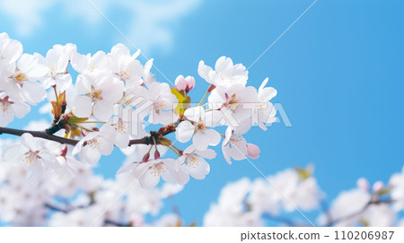 Abstract natural spring background light rosy dark flowers close up. Abstract natural spring background light rosy dark flowers close up. 110206987