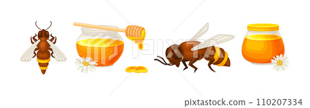 Honey Product with Bee Insect and Glass Jar Vector Set 110207334