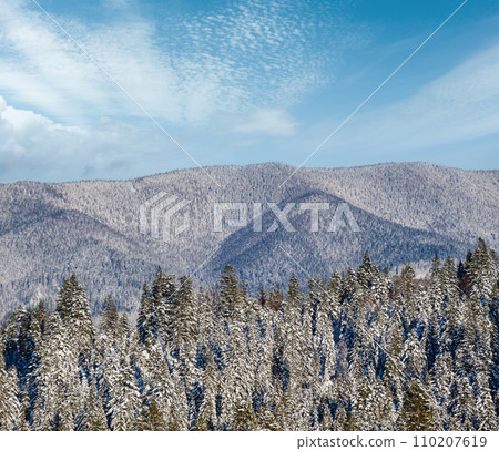 Winter alpine hills with fir and pine forest view from mountain village. Picturesque traveling, hiking, seasonal, nature and countryside beauty concept background scene. Winter alpine hills with fir and pine forest view from mountain village. Picturesque traveling, hiking, seasonal, nature and countryside beauty concept background scene. 110207619