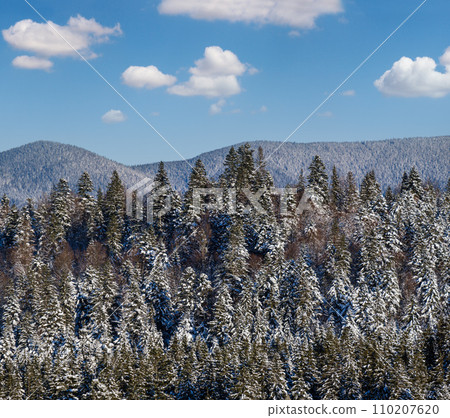 Winter alpine hills with fir and pine forest view from mountain village. Picturesque traveling, hiking, seasonal, nature and countryside beauty concept background scene. 110207620