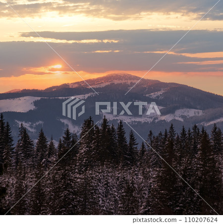 Winter sunset alpine top  view from mountain village and fir forest in front. Picturesque seasonal, nature and countryside beauty concept scene. 110207624