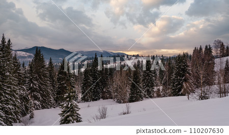 Small alpine village and winter snowy mountains in last sunset sunlight around, Voronenko, Carpathian, Ukraine. 110207630