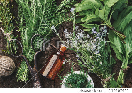 Medicinal infusion bottle, mortar and bunches of fresh medicinal herbs - forget me not, plantain, juniper, yarrow, shepherd purse, viburnum leaves. Top view, flat lay. Alternative herbal medicine. Medicinal infusion bottle, mortar and bunches of fresh medicinal herbs - forget me not, plantain, juniper, yarrow, shepherd purse, viburnum leaves. Top view, flat lay. Alternative herbal medicine. 110207651