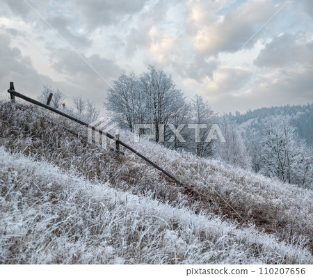 Winter coming. Picturesque foggy and moody pre sunrise scene in late autumn mountain countryside with hoarfrost on grasses, trees, slopes. Ukraine, Carpathian Mountains. Winter coming. Picturesque foggy and moody pre sunrise scene in late autumn mountain countryside with hoarfrost on grasses, trees, slopes. Ukraine, Carpathian Mountains. 110207656