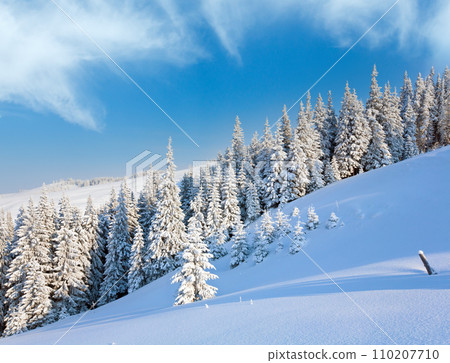 winter mountain landscape winter mountain landscape 110207710