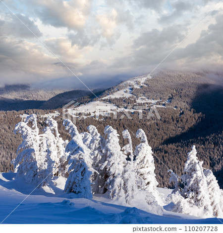 Winter mountain landscape with snowy trees Winter mountain landscape with snowy trees 110207728