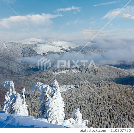 Winter mountain landscape with snowy trees 110207730