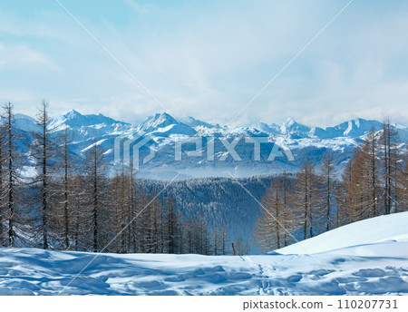 Winter forest near Dachstein mountain massif Winter forest near Dachstein mountain massif 110207731