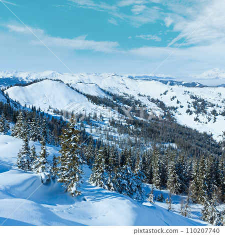 Winter mountain landscape 110207740