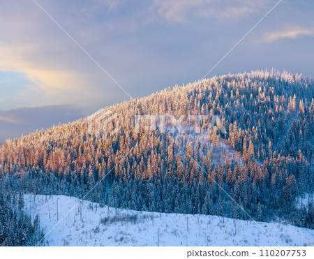 Evening winter Carpathian Mountains landscape. 110207753
