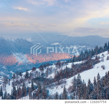 Evening winter Ukrainian Carpathian Mountains landscape. 110207754