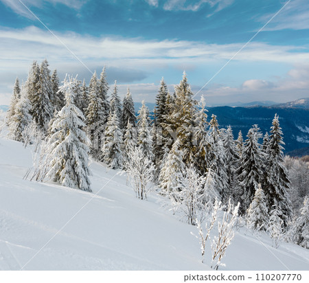 Winter mountain snowy landscape Winter mountain snowy landscape 110207770