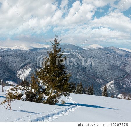 Winter morning Carpathian mountains, Ukraine 110207778