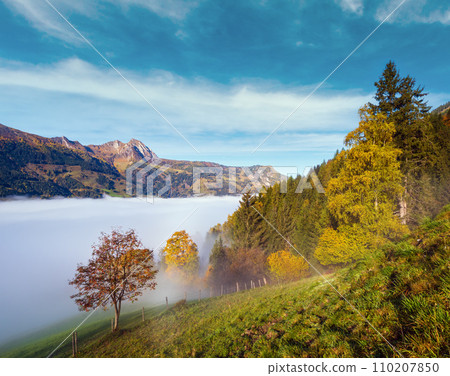 Peaceful misty autumn morning mountain view from hiking path from Dorfgastein to Paarseen lakes, Land Salzburg, Austria. Peaceful misty autumn morning mountain view from hiking path from Dorfgastein to Paarseen lakes, Land Salzburg, Austria. 110207850