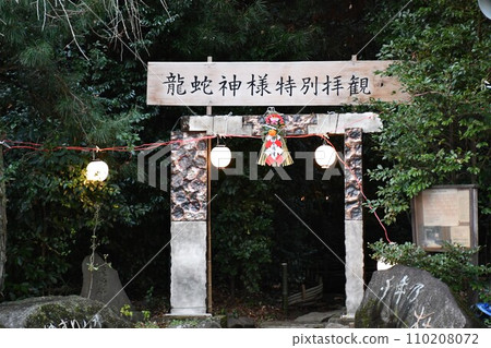 Approach to a shrine with a torii gate Approach to a shrine with a torii gate 110208072