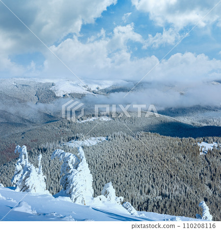 Winter mountain landscape with snowy trees 110208116