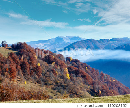 Morning fog in autumn Carpathian. 110208162
