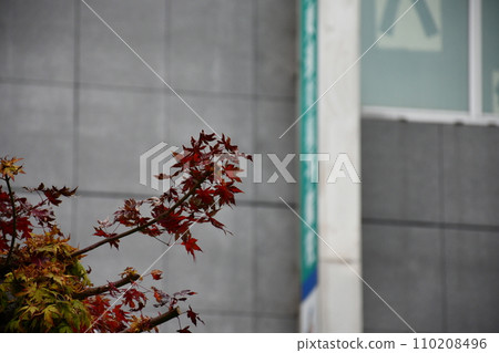 復古城市景觀 復古城市景觀 110208496