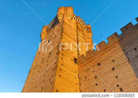 Close up view of La Mota Castle in Medina del Campo, Valladolid, Spain. 110208885