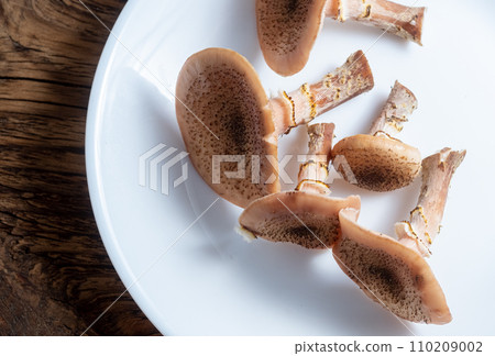 edible honey mushrooms on a white plate. View from above. 110209002