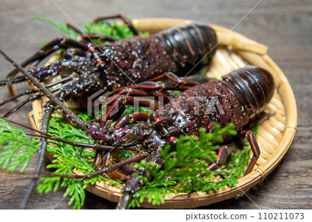Shrimp lily 110211073
