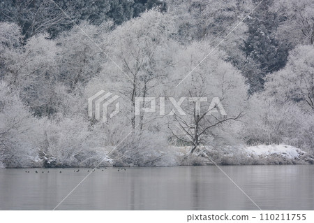 frosty day frosty day 110211755