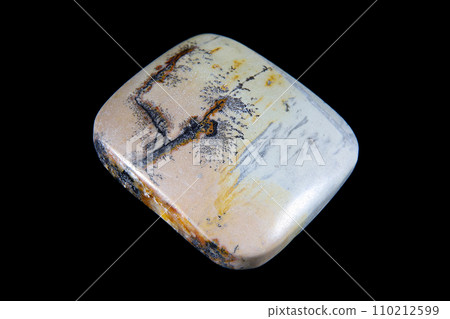 Dendritic Jasper - A stone that harbors landscapes 110212599