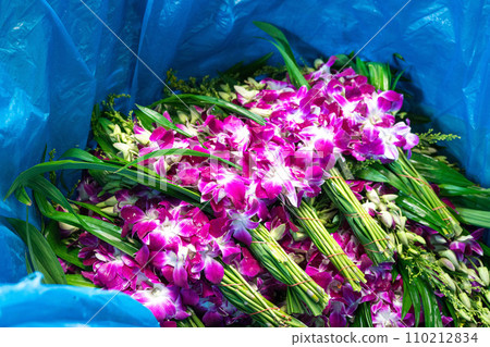 Orchid flowers tied up in bunches for wholesale. 110212834