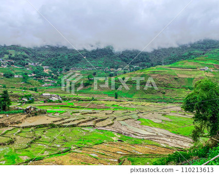 Rice Terrace view in Lao Chai Ta Van  110213613